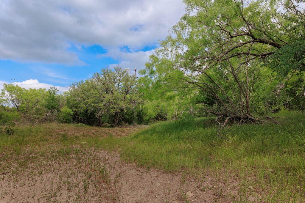 Land, Lohn, Texas image 25