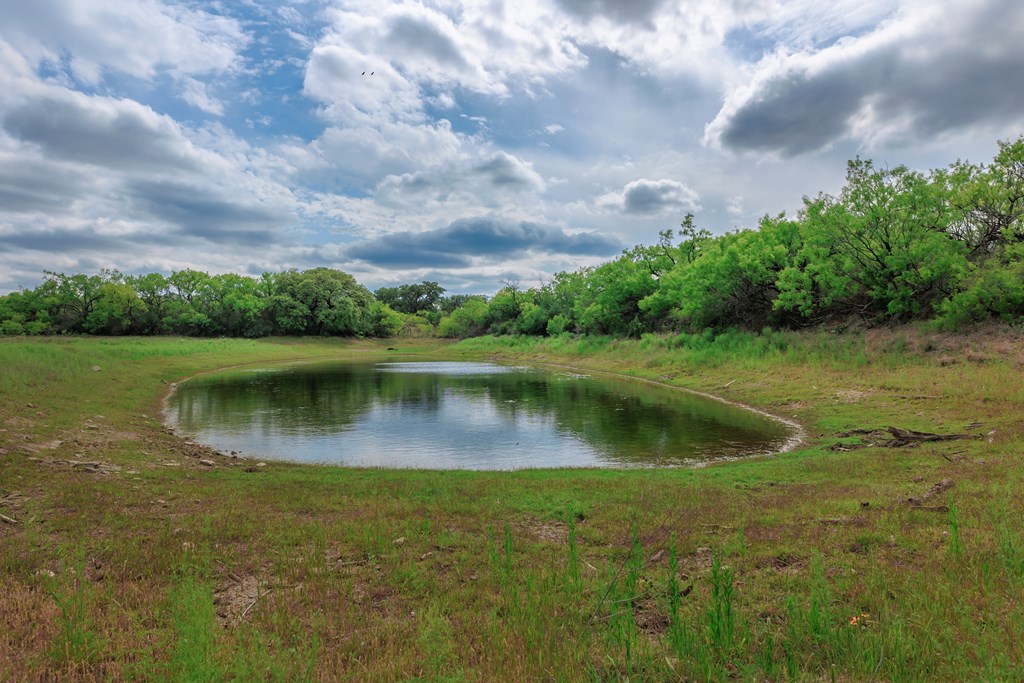 Land, Lohn, Texas image 15