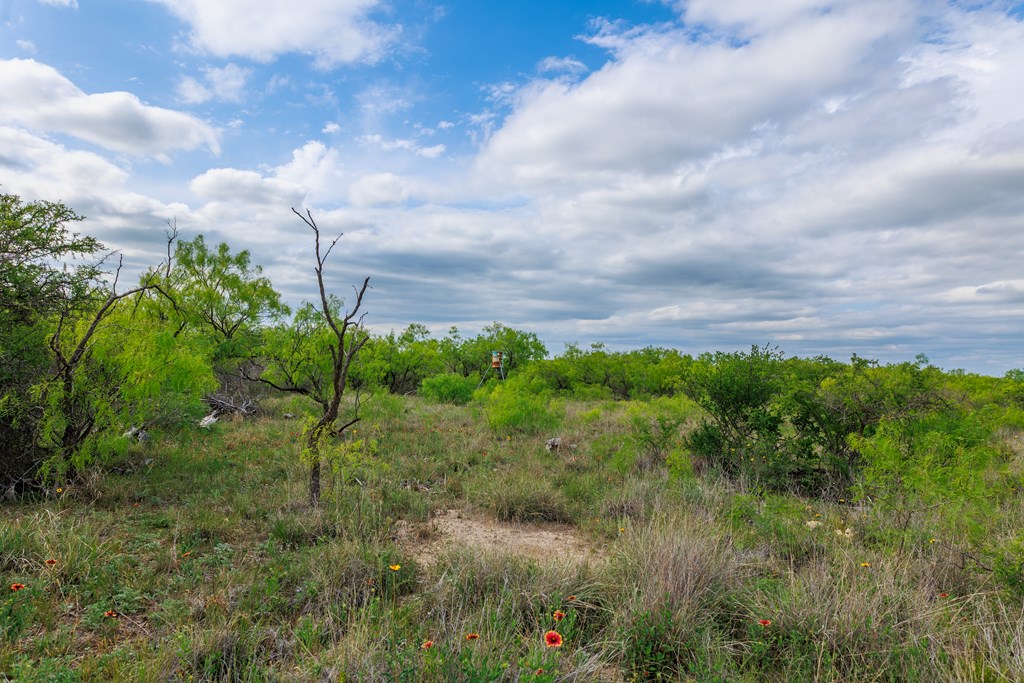 Land, Lohn, Texas image 39