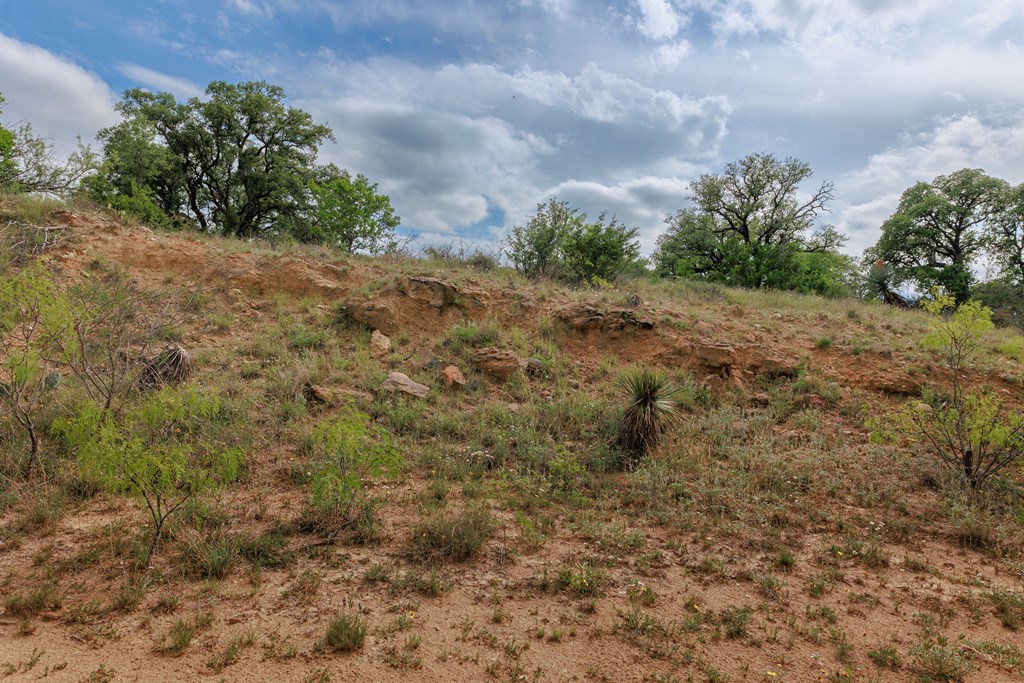 Land, Lohn, Texas image 24