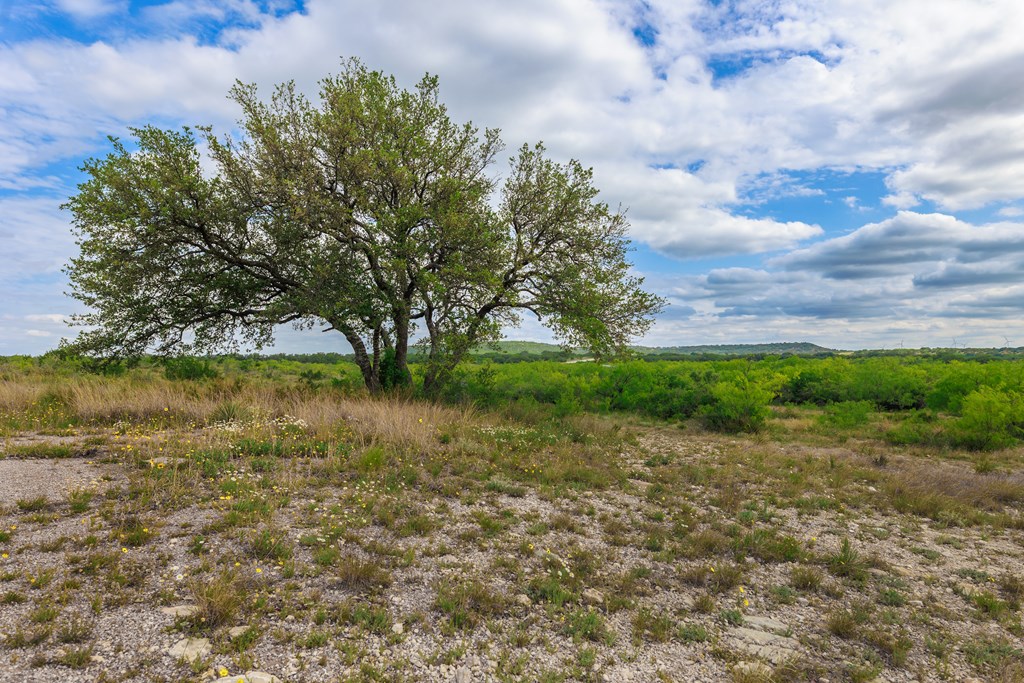 Land, Lohn, Texas image 11