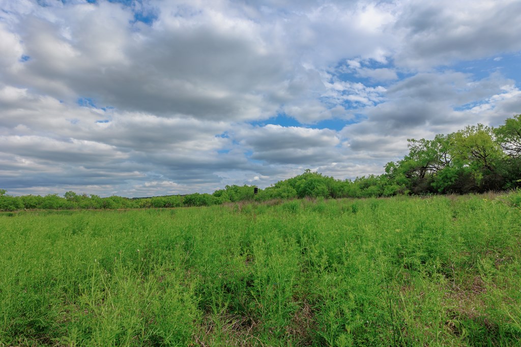 Land, Lohn, Texas image 20