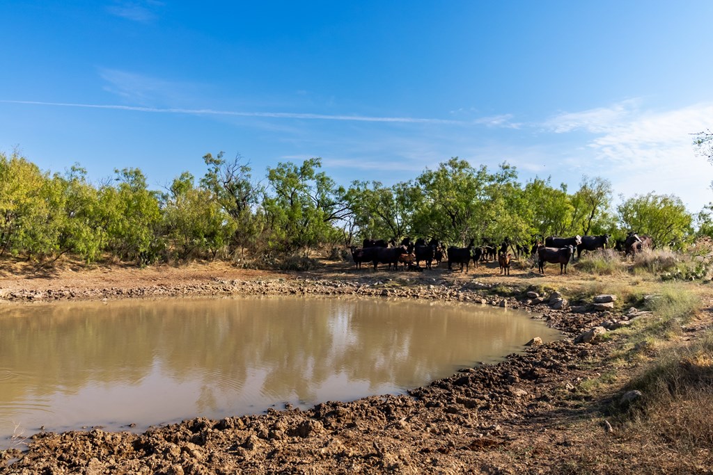 2280 County Rd 4606, Millersview, Texas image 17