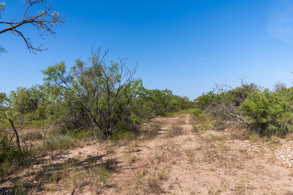 2280 County Rd 4606, Millersview, Texas image 34