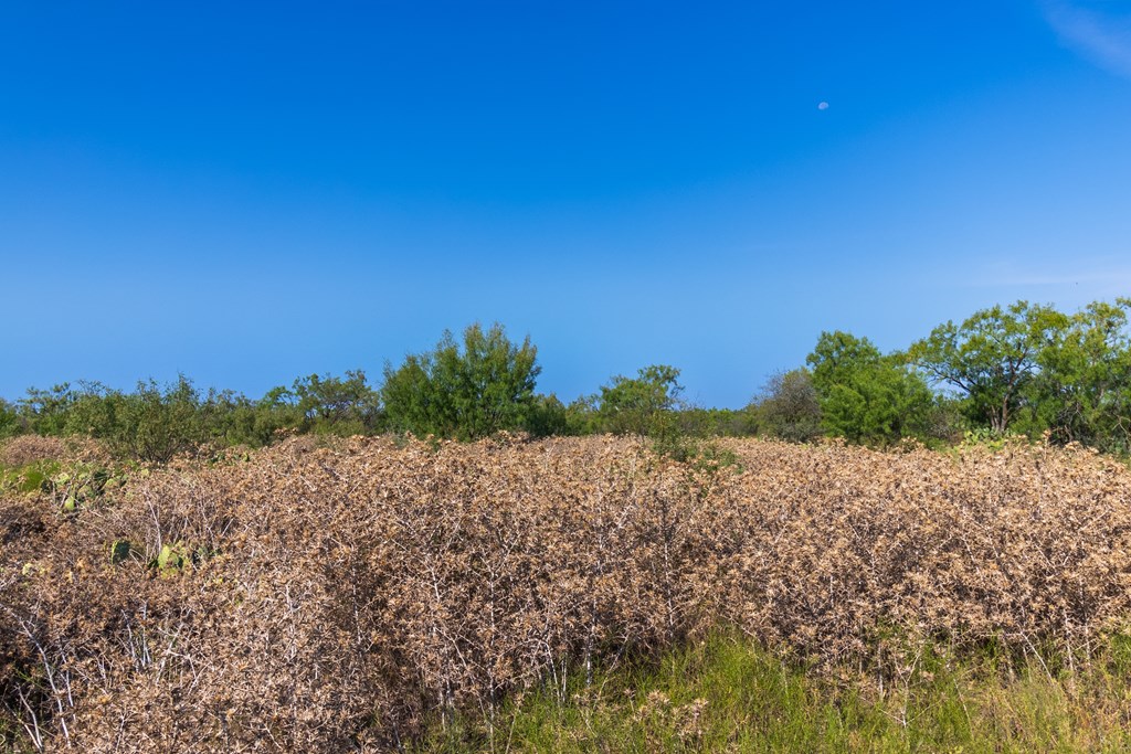 2280 County Rd 4606, Millersview, Texas image 18