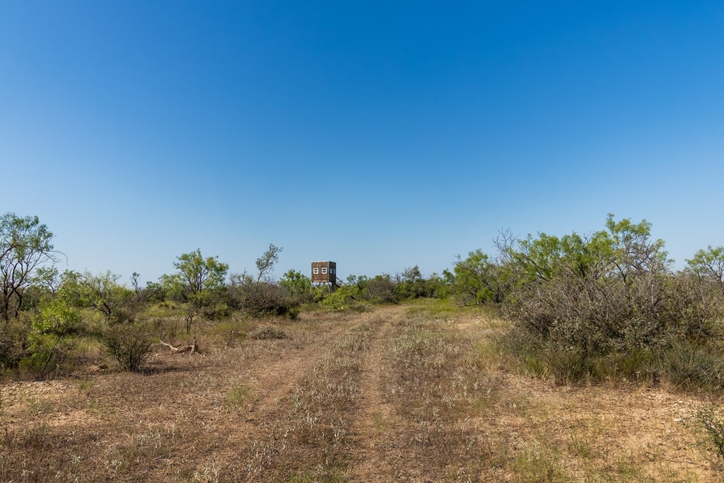 2280 County Rd 4606, Millersview, Texas image 31