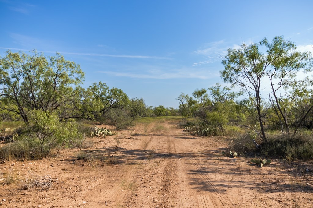 2280 County Rd 4606, Millersview, Texas image 21