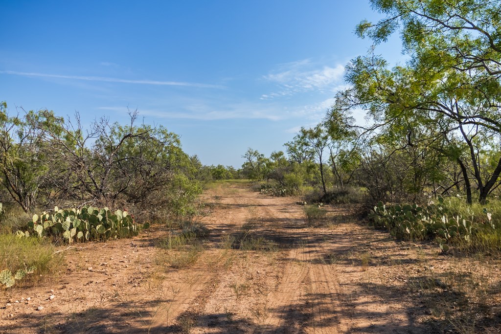 2280 County Rd 4606, Millersview, Texas image 20