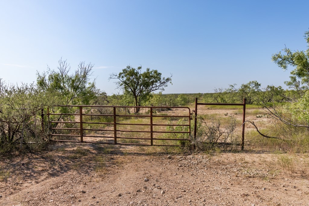 2280 County Rd 4606, Millersview, Texas image 35