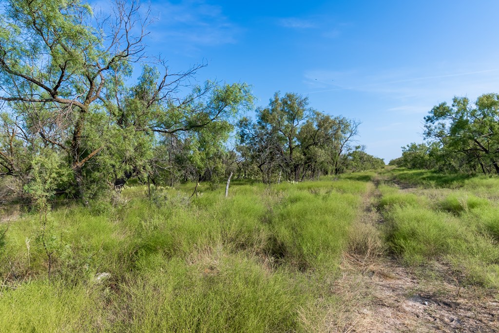 2280 County Rd 4606, Millersview, Texas image 5