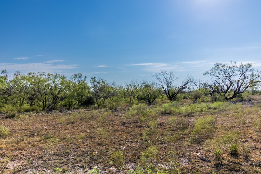 2280 County Rd 4606, Millersview, Texas image 6