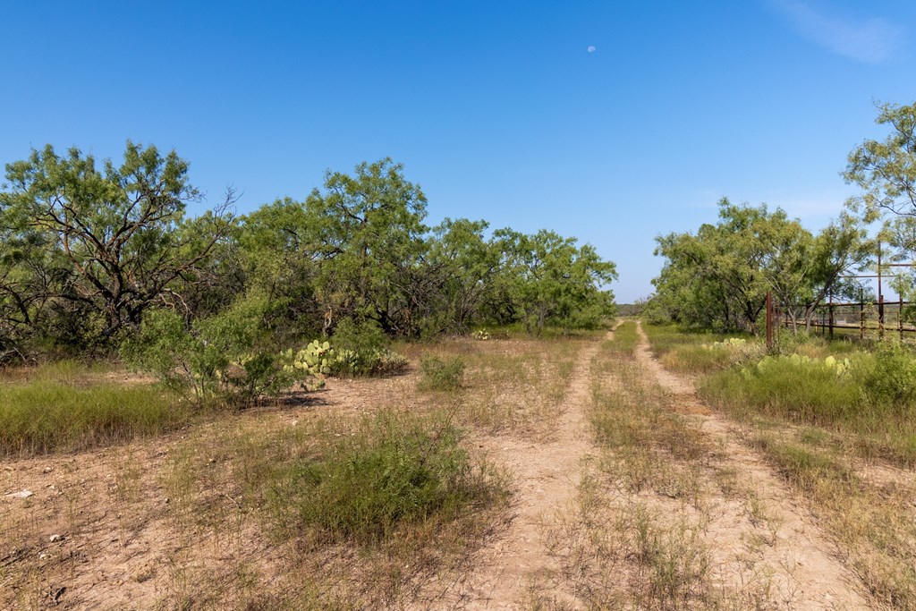 2280 County Rd 4606, Millersview, Texas image 15