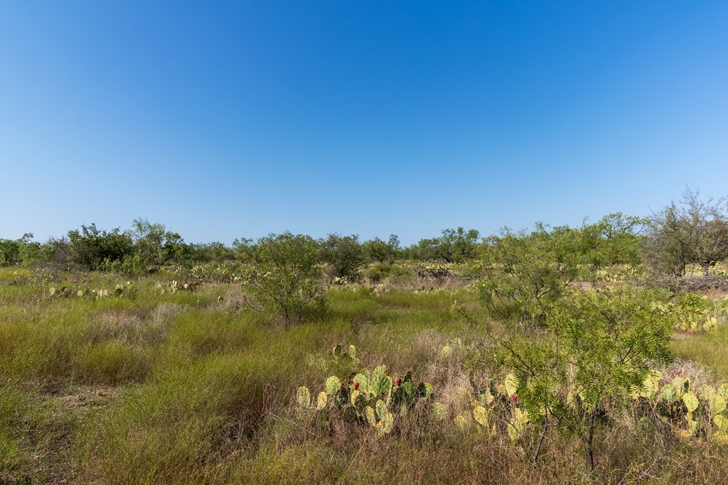 2280 County Rd 4606, Millersview, Texas image 29