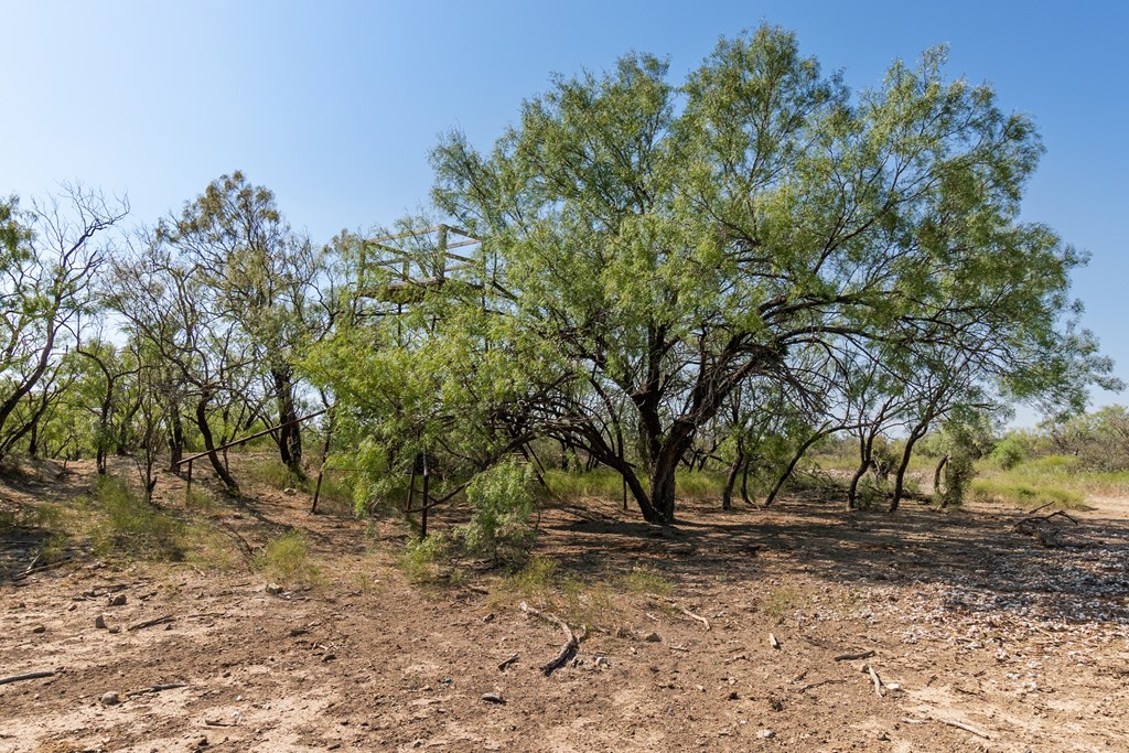 2280 County Rd 4606, Millersview, Texas image 39