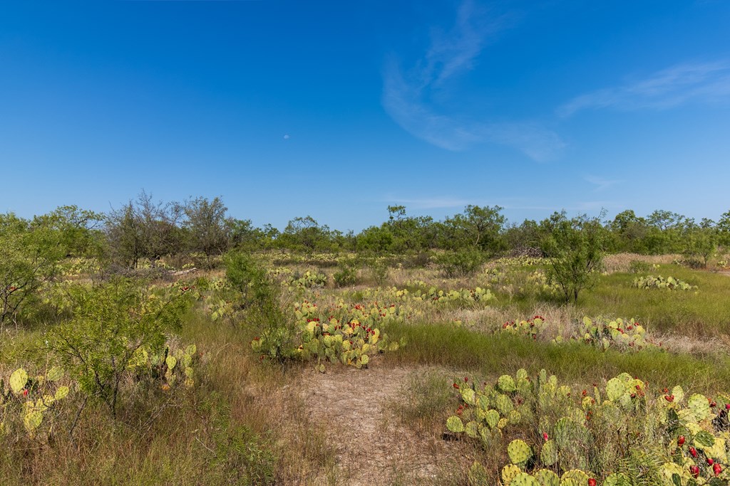 2280 County Rd 4606, Millersview, Texas image 30