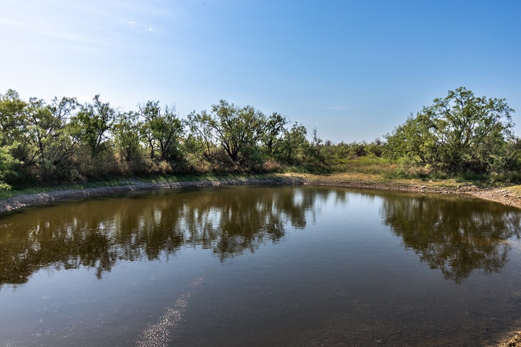 2280 County Rd 4606, Millersview, Texas image 26