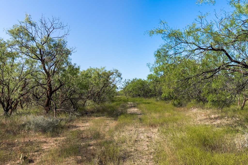 2280 County Rd 4606, Millersview, Texas image 33