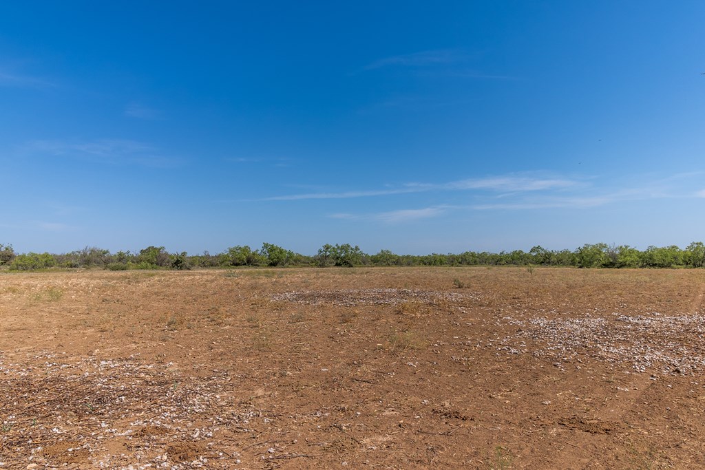 2280 County Rd 4606, Millersview, Texas image 42