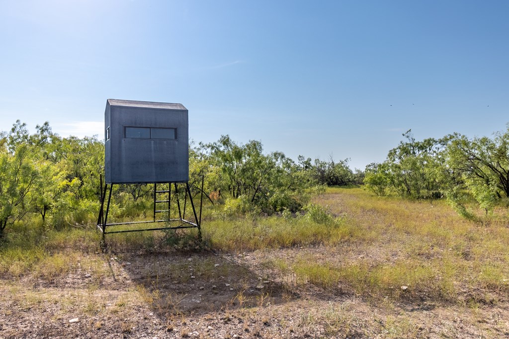 2280 County Rd 4606, Millersview, Texas image 12