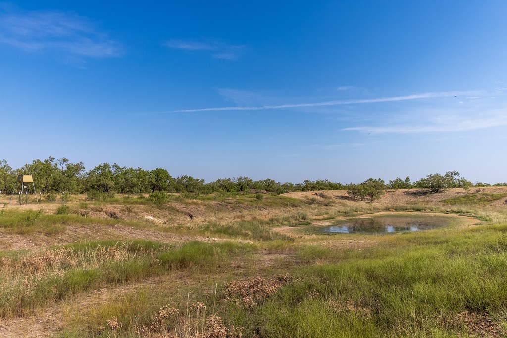 2280 County Rd 4606, Millersview, Texas image 23