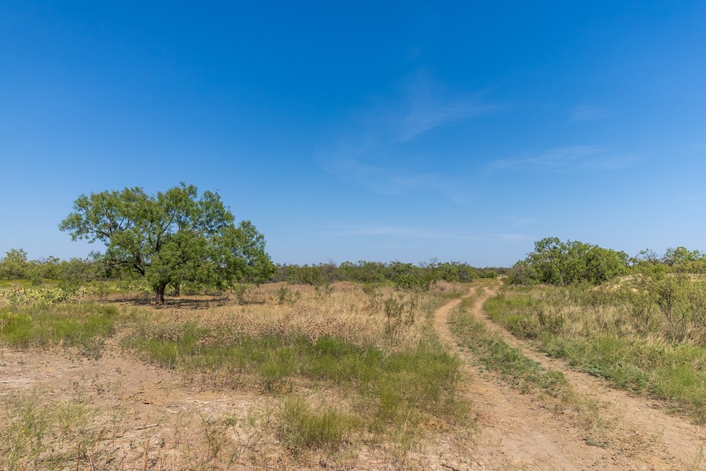 2280 County Rd 4606, Millersview, Texas image 40