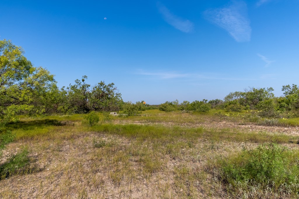 2280 County Rd 4606, Millersview, Texas image 11