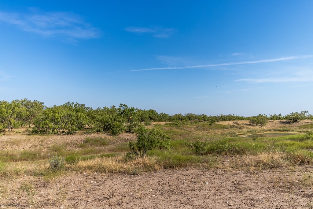 2280 County Rd 4606, Millersview, Texas image 22