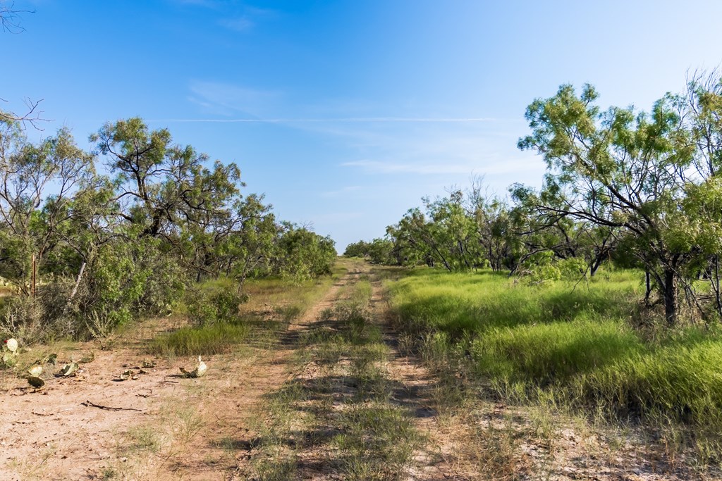 2280 County Rd 4606, Millersview, Texas image 9