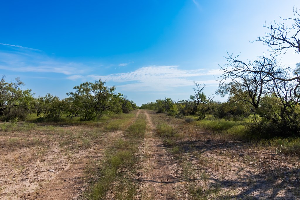 2280 County Rd 4606, Millersview, Texas image 10