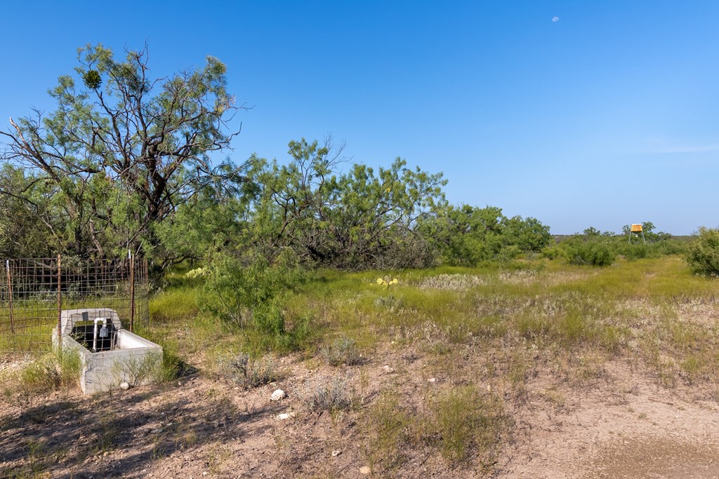 2280 County Rd 4606, Millersview, Texas image 13