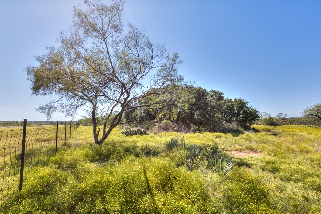 127 County Rd 478 #165, Coleman, Texas image 10