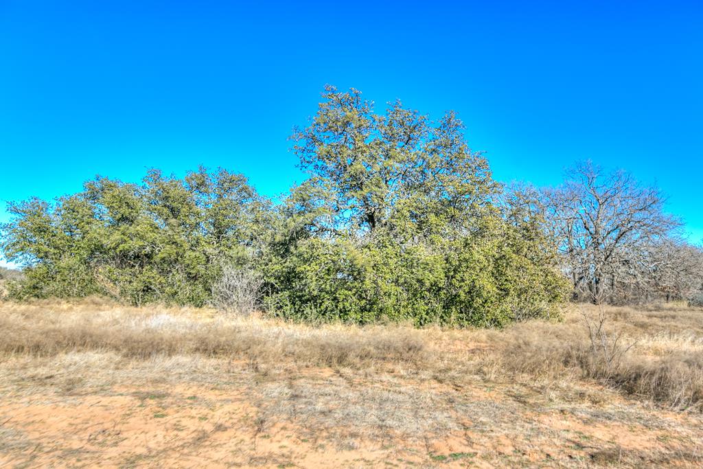 127 County Rd 476, Coleman, Texas image 46