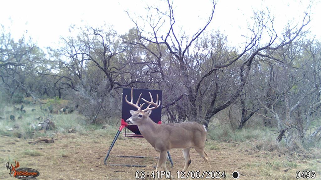 127 County Rd 478 #165, Coleman, Texas image 37