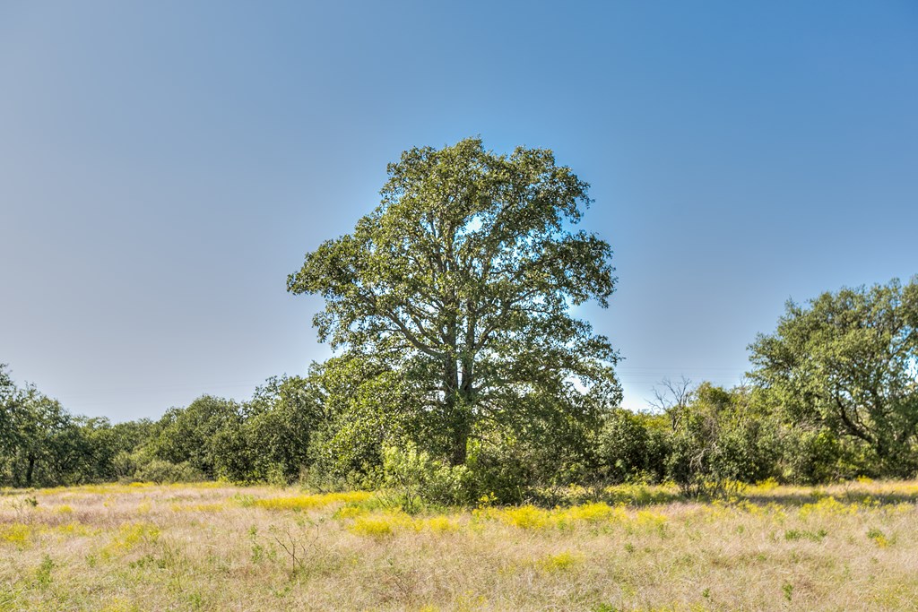 127 County Rd 478 #165, Coleman, Texas image 21