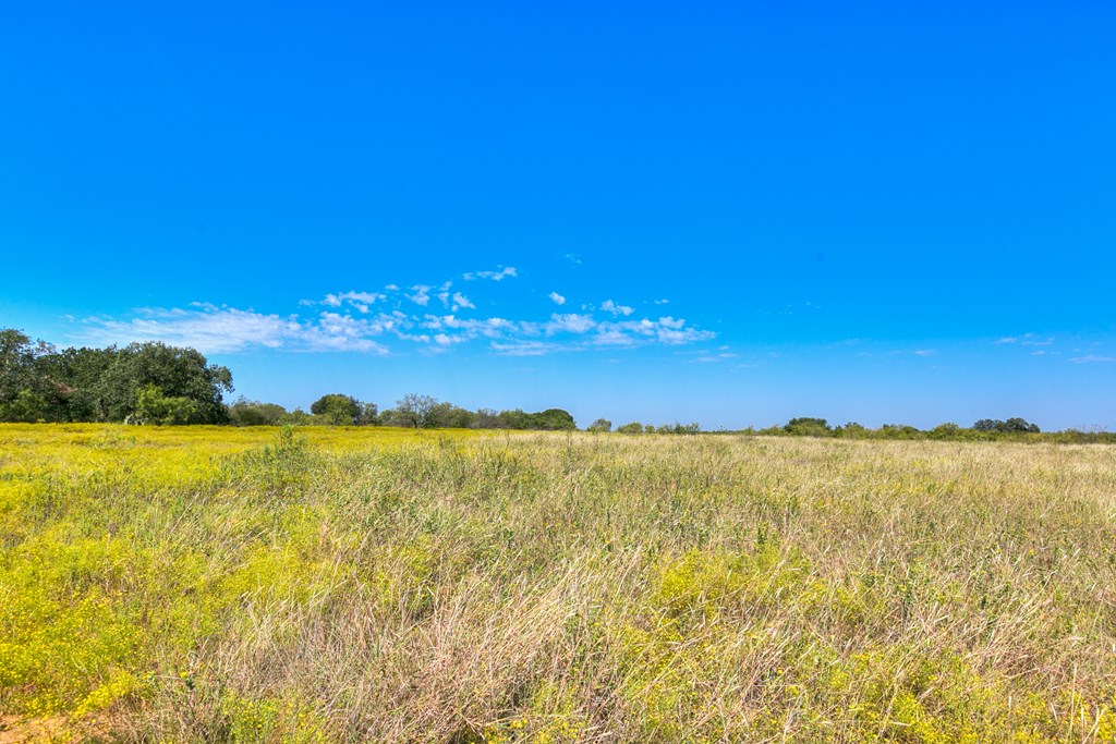 127 County Rd 478 #165, Coleman, Texas image 16