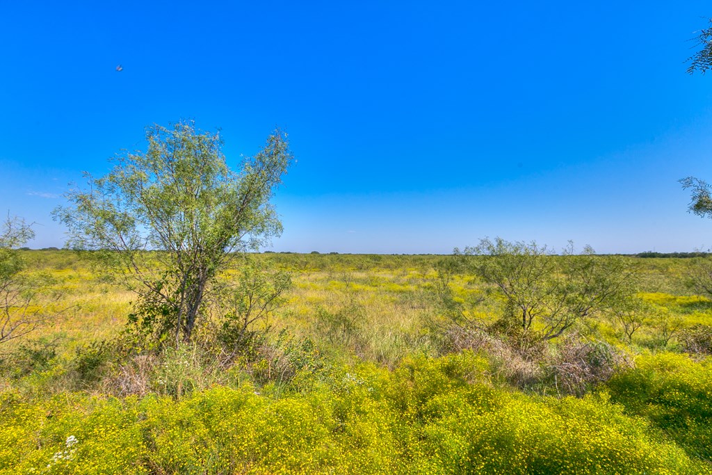 127 County Rd 478 #165, Coleman, Texas image 18