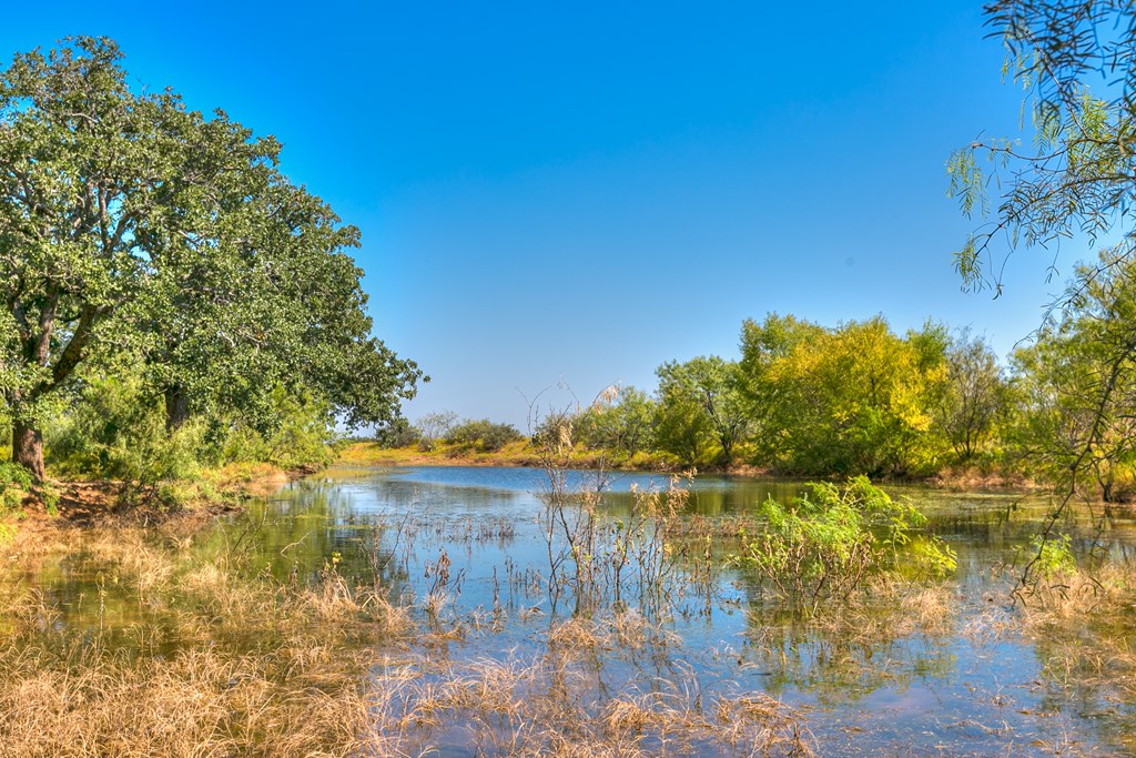 127 County Rd 478 #165, Coleman, Texas image 13