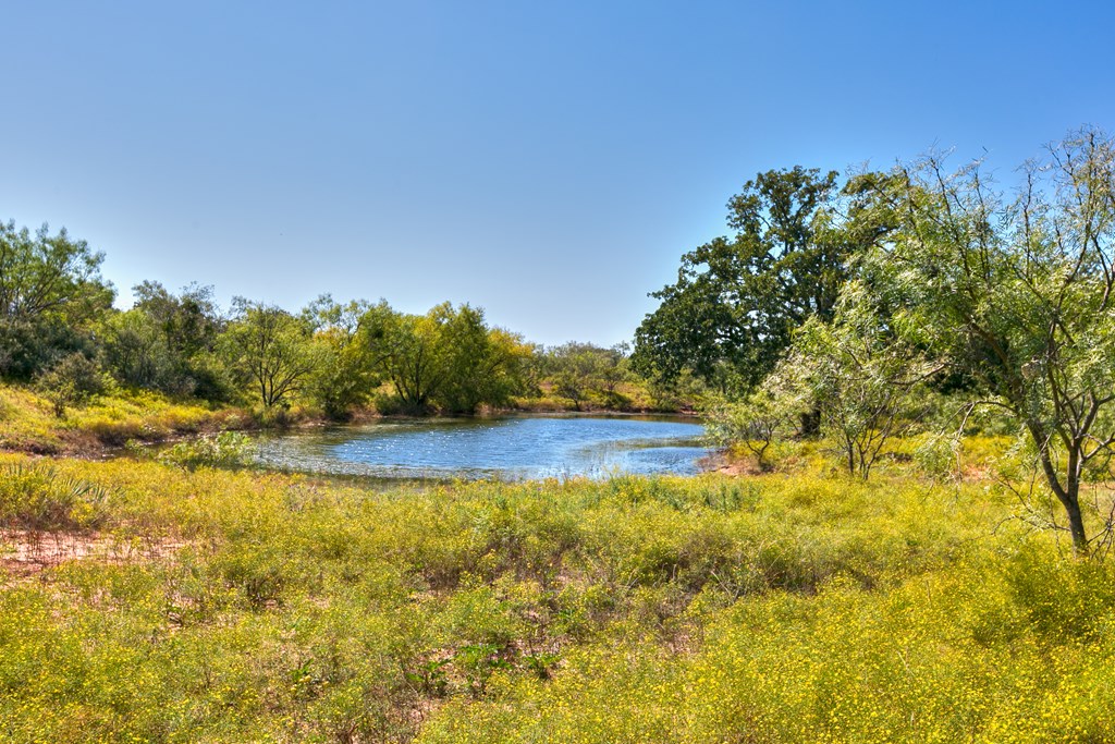 127 County Rd 478 #165, Coleman, Texas image 15