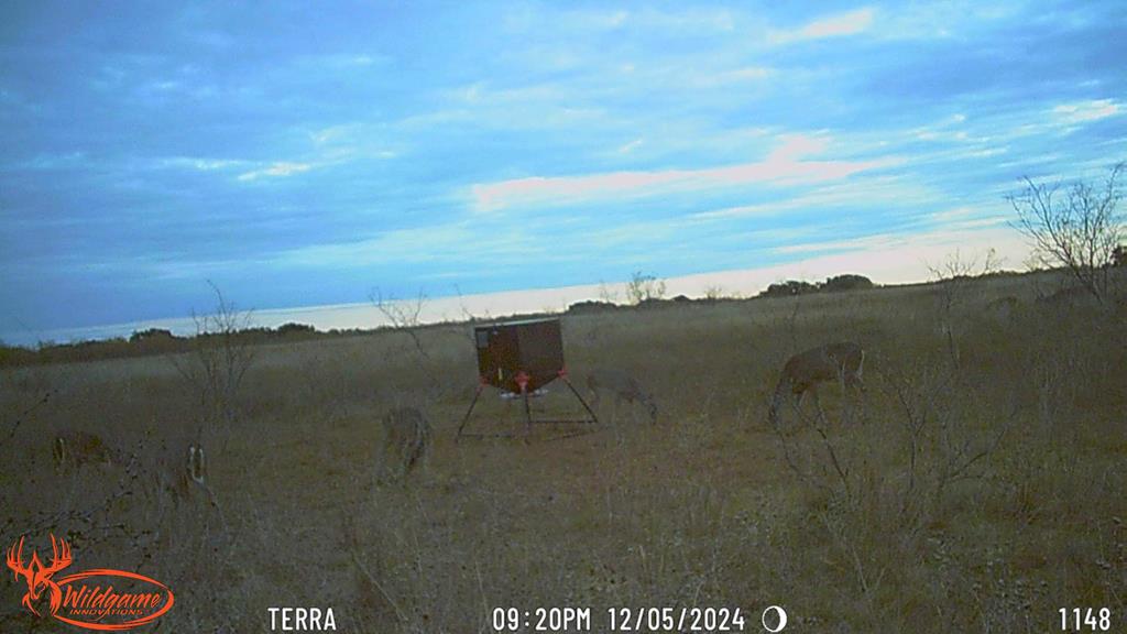 127 County Rd 478 #165, Coleman, Texas image 41