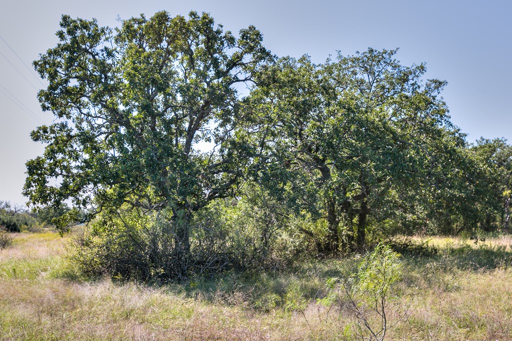 127 County Rd 478 #165, Coleman, Texas image 4