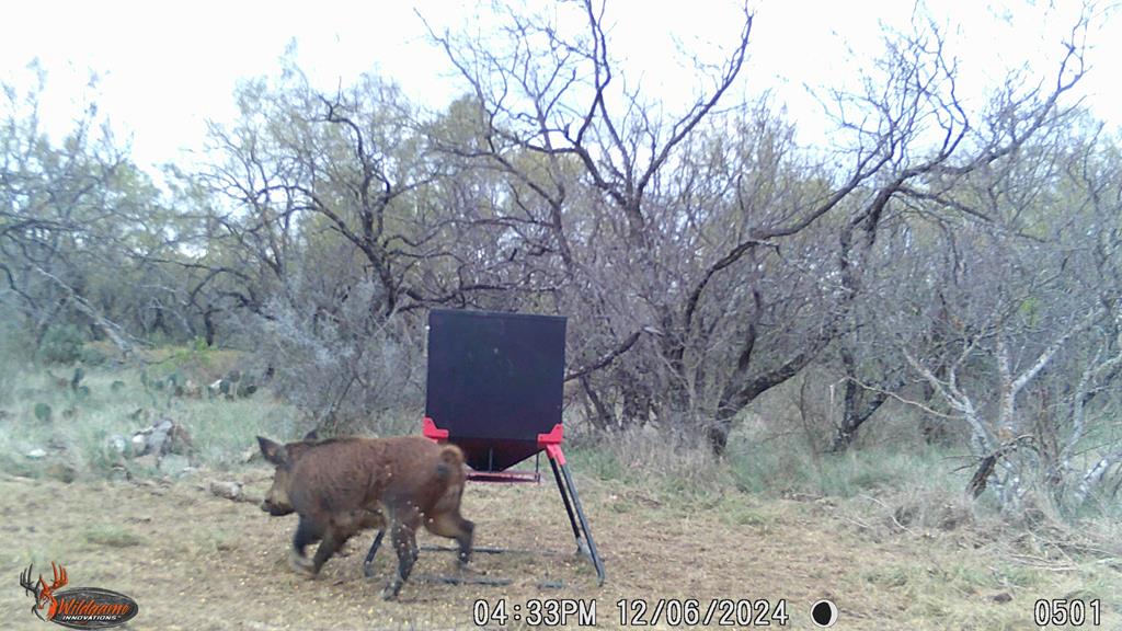 127 County Rd 478 #165, Coleman, Texas image 38