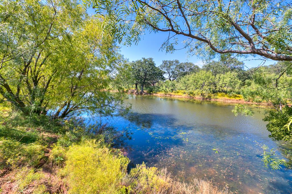 127 County Rd 478 #165, Coleman, Texas image 1