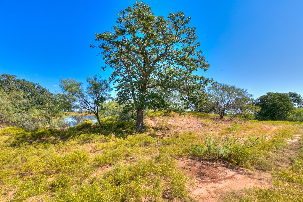 127 County Rd 478 #165, Coleman, Texas image 14