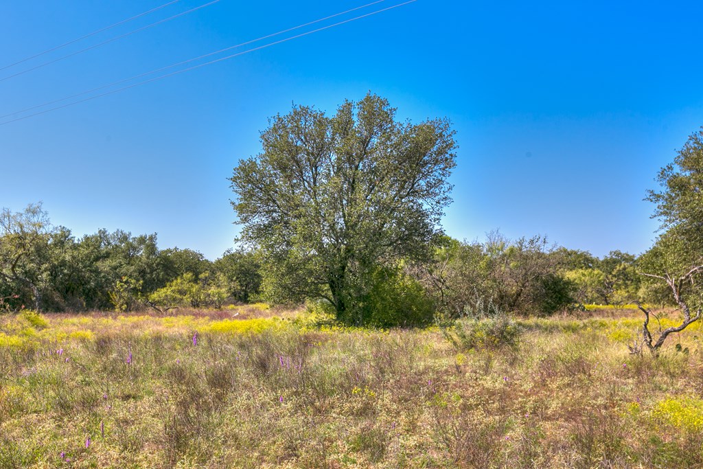 127 County Rd 478 #165, Coleman, Texas image 2