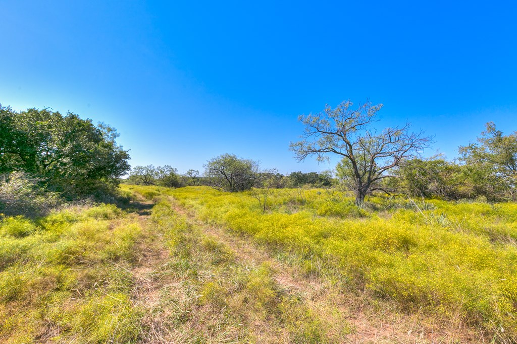 127 County Rd 478 #165, Coleman, Texas image 11