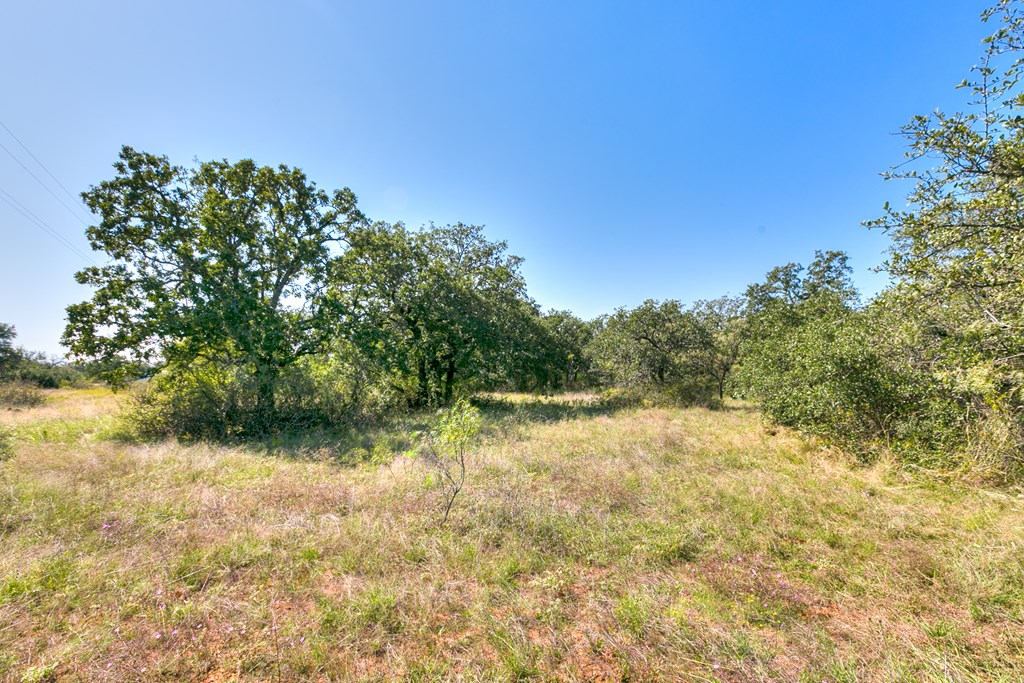 127 County Rd 478 #165, Coleman, Texas image 3