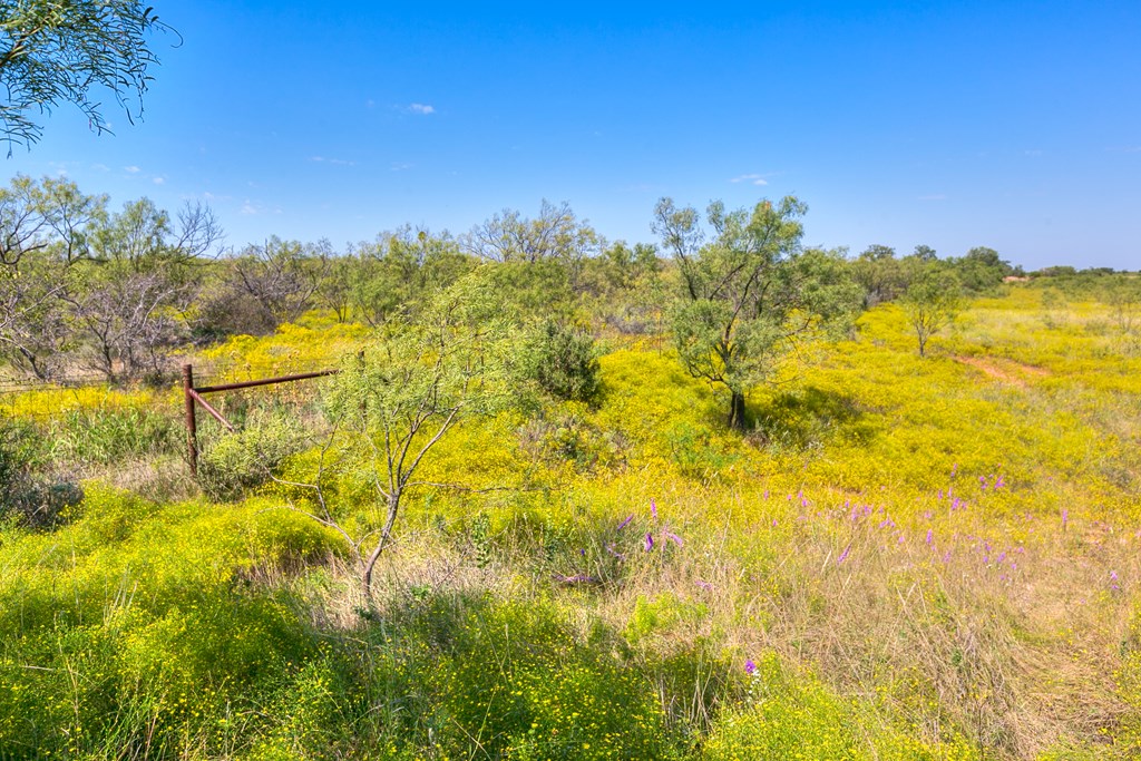 127 County Rd 478 #165, Coleman, Texas image 20