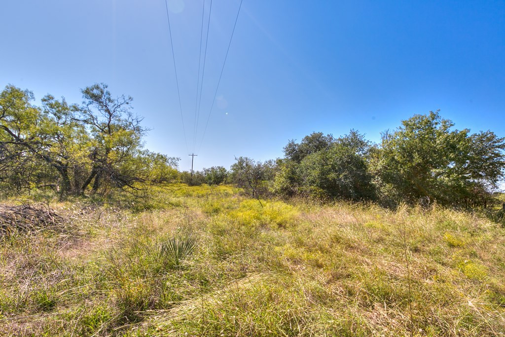 127 County Rd 478 #165, Coleman, Texas image 12