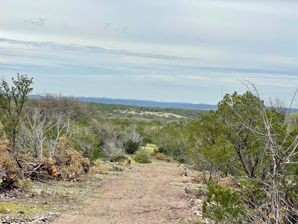 1448 County Rd 312 #TRACT 106, Eldorado, Texas image 11