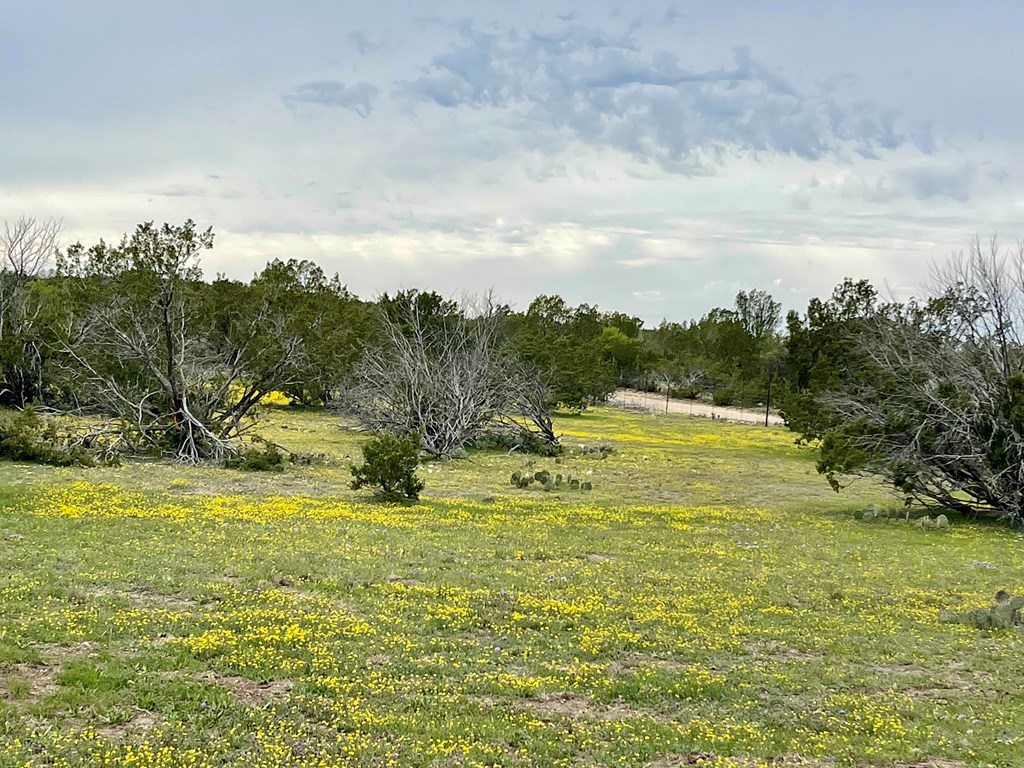 1448 County Rd 312 #TRACT 106, Eldorado, Texas image 4